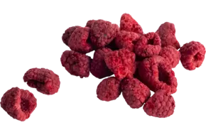 Frambozen gevriesdroogd 60gr